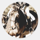 Search for horse show stickers Ponies