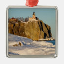 Search for land of the christmas tree decorations Winter