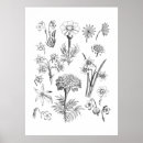 Search for nature style posters floral