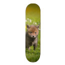 Search for cubs skateboards Animal