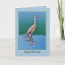 Search for sandhill cards Lake
