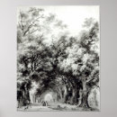 Search for shady posters Tree