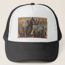 Search for rhino hats Wildlife
