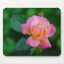 Search for fragrance mousepads Pink