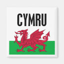 Search for welsh magnets Flag of wales