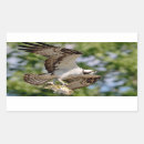 Search for large mouth stickers Fish