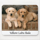 Search for rules mousepads Dog
