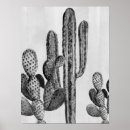 Search for black and white cactus art Plant