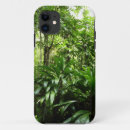 Search for rain forest cases Tropical