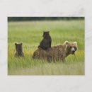 Search for clark lake postcards Bear