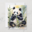 Search for zoo panda cards Wildlife