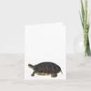 Search for terrapins cards Sea