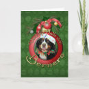 Search for berner cards Bernese mountain dogs