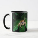 Search for spiders mugs Jumping spider