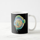 Search for cichlids mugs Discus