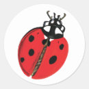 Search for lady beetle stickers Bugs