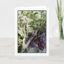 Search for snake cards Nature