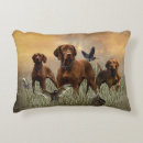 Search for vizsla cushions Nature