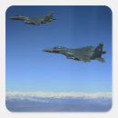 Search for strike fighter stickers Horizontal