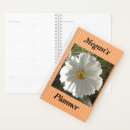 Search for cosmos photography Floral