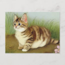 Search for antique cat postcards Victorian