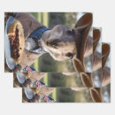 Search for kangaroo wrapping paper Funny