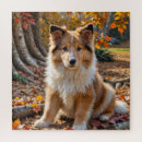 Search for rough collie puzzles Puppy