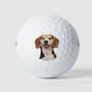 Search for beagle golf equipment Pets