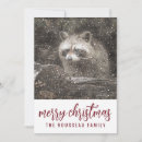 Search for raccoon christmas cards Snow