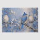 Search for bird tissue paper Animals