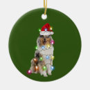 Search for collie christmas tree decorations Thankgiving