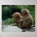 Search for wild side posters Outdoors
