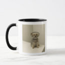 Search for collared mugs Nature
