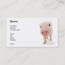 Search for hogs business cards Pink