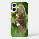 Search for swallowtail butterfly iphone cases Butterflies
