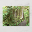 Search for rains postcards Leaves