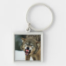 Search for anger key rings Nature