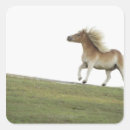 Search for running horses stickers Outdoors