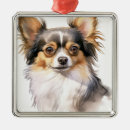 Search for long haired chihuahua christmas tree decorations Puppy