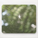 Search for webs mousepads Arachnid