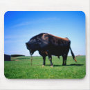 Search for magnificence mousepads Landscape