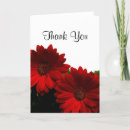 Search for red daisies cards Gerbera