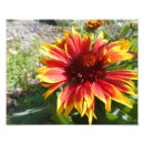 Search for burst posters Bloom