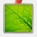 Search for macro christmas tree decorations Green