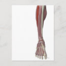 Search for foot doctor posters Human body part