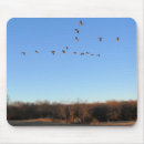 Search for canadian mousepads Birds
