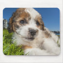 Search for outdoors mousepads Animal