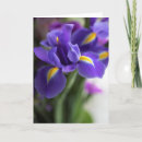 Search for blue iris cards Macro