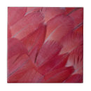 Search for parrot tiles Pattern