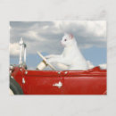 Search for convertible postcards Vacation
